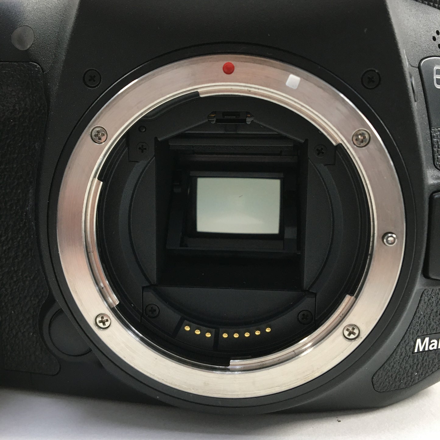 Canon EOS 7D Mark II 20.2MP Digital SLR DSLR Camera Body Only