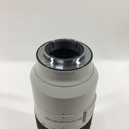 Sony SEL70200GM 70-200mm f/2.8 E-Mount Telephoto Zoom Lens SEL70200GM
