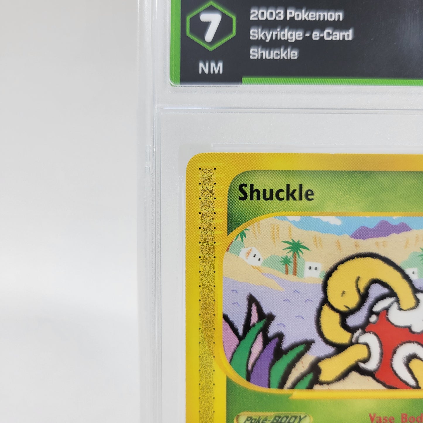 Pokémon TCG Skyridge Shuckle 96/144 Regular English