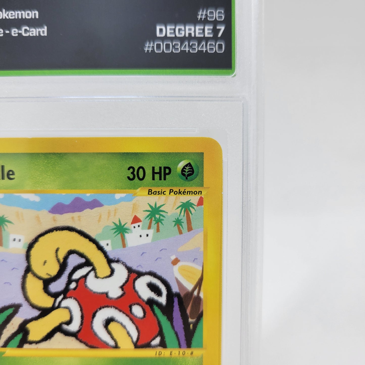 Pokémon TCG Skyridge Shuckle 96/144 Regular English